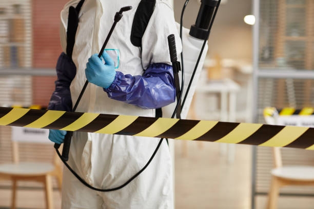 Professional Sewage Cleanup technician working in Sumner, IL